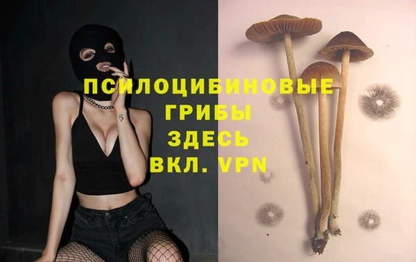бошки Приозерск